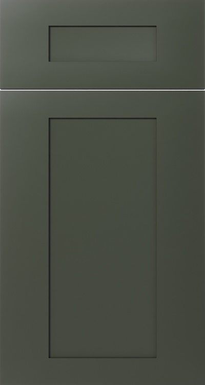 Aston Green door panel